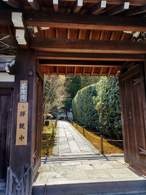 Gallery item 7