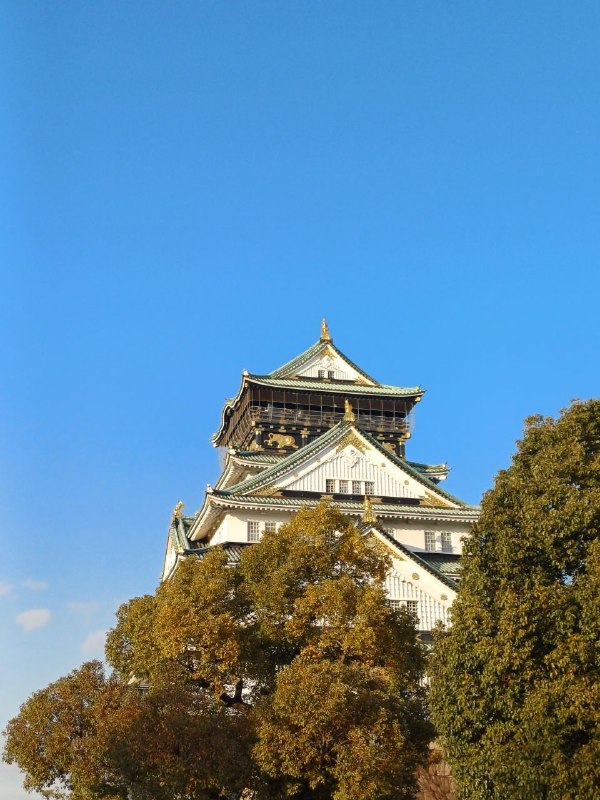 Gallery item 10