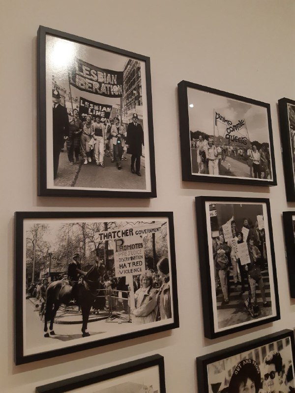 Gallery item 7